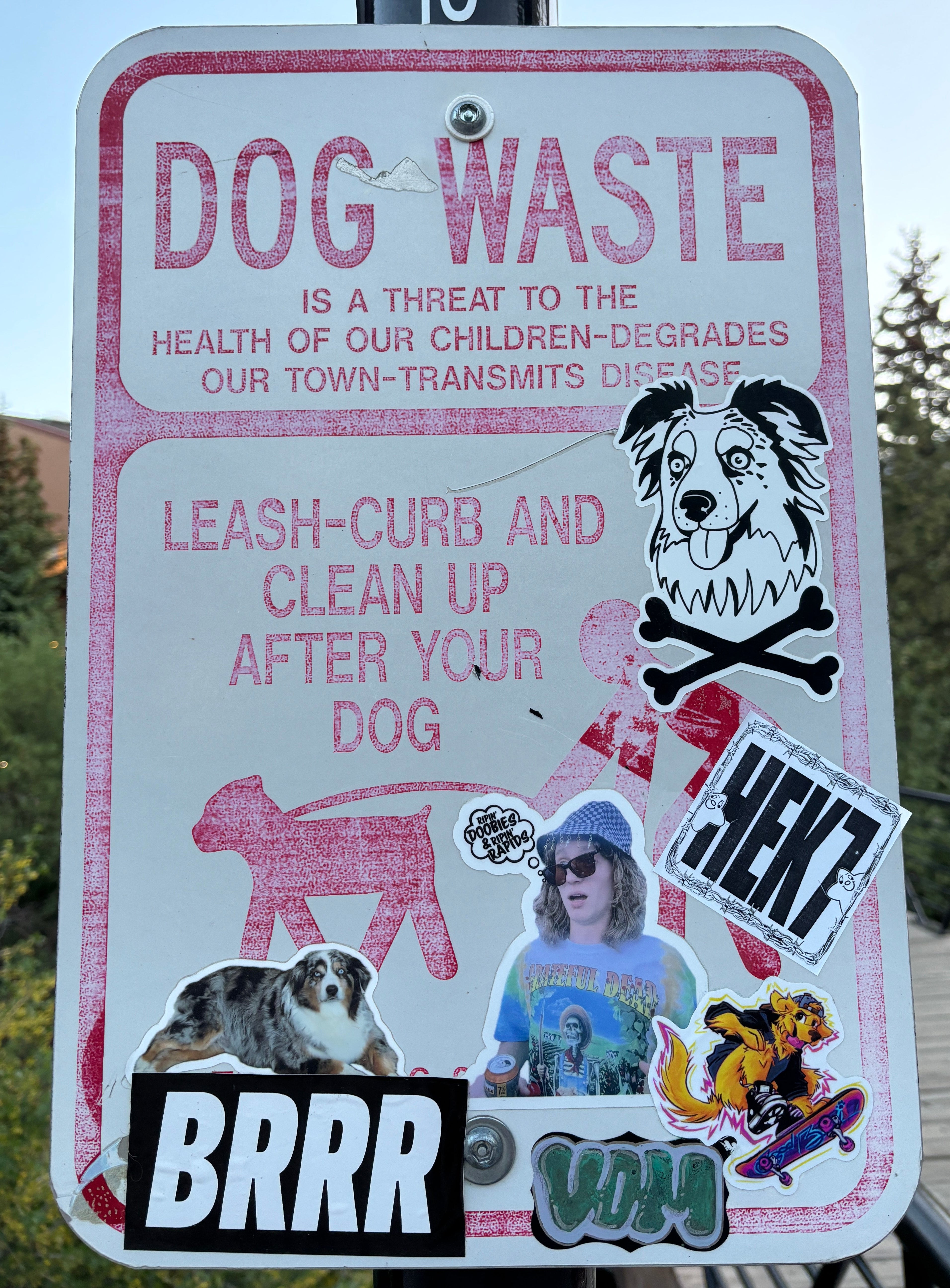 Sk8er Boi -Large Vinyl Sticker